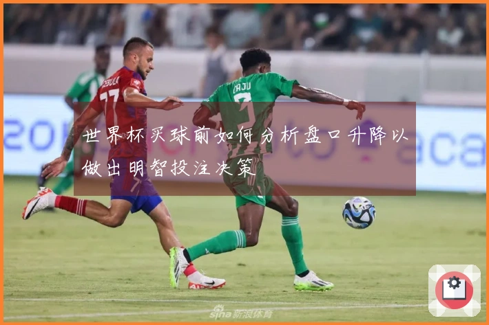世界杯买球前如何分析盘口升降以做出明智投注决策