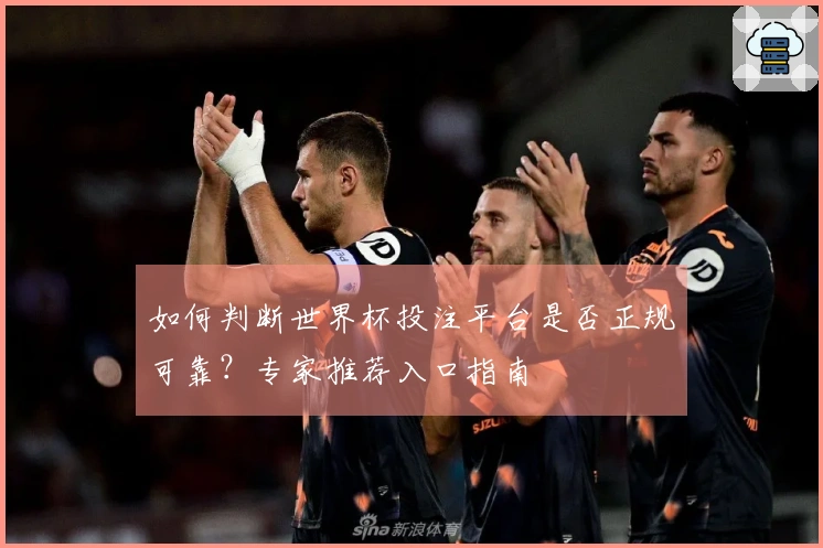 如何判断世界杯投注平台是否正规可靠？专家推荐入口指南