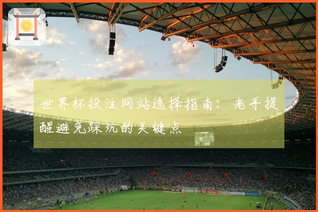 世界杯投注网站选择指南：老手提醒避免踩坑的关键点