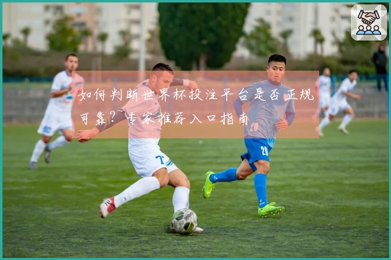 如何判断世界杯投注平台是否正规可靠？专家推荐入口指南