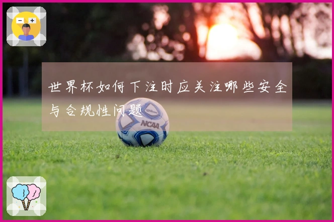 世界杯如何下注时应关注哪些安全与合规性问题