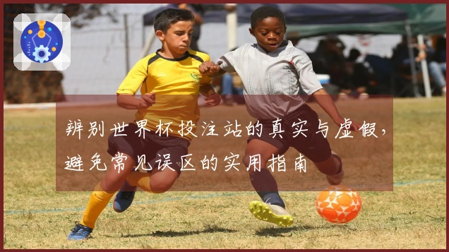 辨别世界杯投注站的真实与虚假，避免常见误区的实用指南