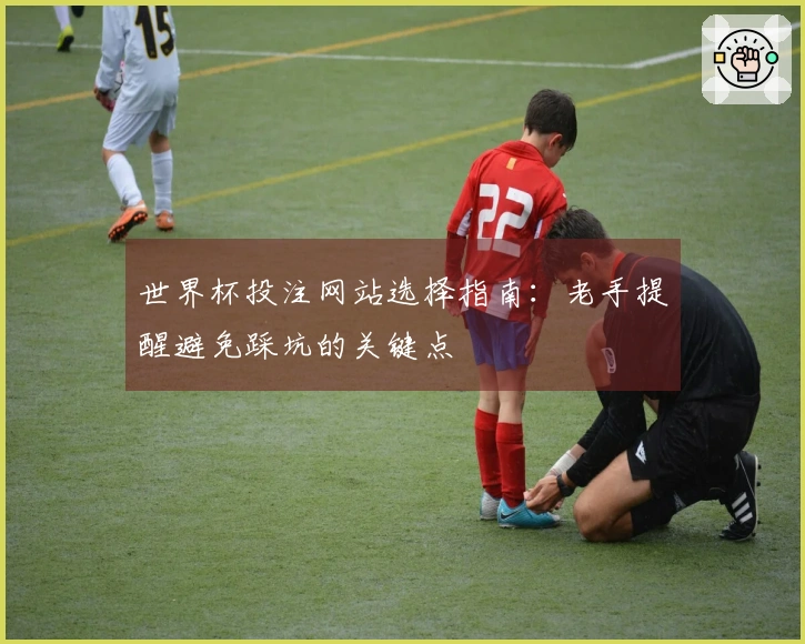 世界杯投注网站选择指南：老手提醒避免踩坑的关键点